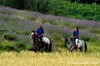 parco_conero076