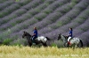 parco_conero081