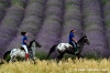 parco_conero085