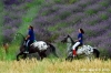 parco_conero093
