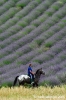 parco_conero095