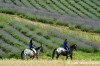 parco_conero102