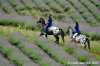 parco_conero108