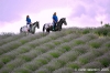 parco_conero122