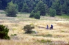 parco_conero160