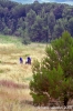parco_conero162