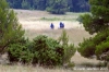 parco_conero163