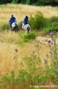 parco_conero164