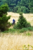 parco_conero165