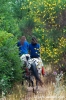 parco_conero170