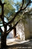parco_conero229