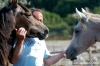 parco_conero_azalee15
