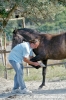 parco_conero_azalee25