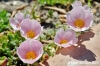 parco_conero_fortino058