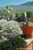 parco_conero_fortino062