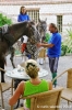 parco_conero_fortino161