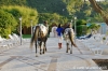 parco_conero_fortino170