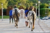 parco_conero_fortino171