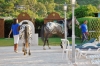 parco_conero_fortino174