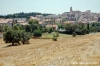 parco_conero_numana001