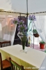 parco_conero_ristoazalee028