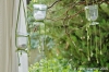 parco_conero_ristoazalee034