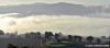 recanati0010