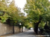 recanati0026