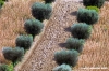 recanati01_050825