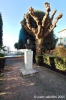 recanati021