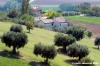recanati10_050825