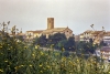 recanati860720c69