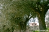 recanati_campagna01_050422