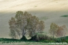 recanati_campagna03