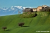 recanati_campagna05_060404