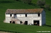 recanati_campagna07