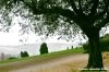recanati_campagna10