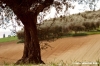 recanati_campagna12_050422