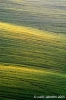 recanati_campagna1_050415