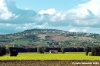 recanati_campagna2_051004