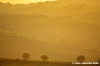recanati_campagna31