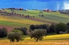 recanati_campagna33