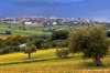 recanati_campagna34