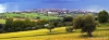 recanati_campagna35