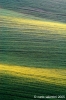 recanati_campagna3_050415