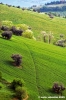 recanati_campagna3_050510