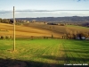 recanati_chiarino16
