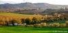 recanati_chiarino3536
