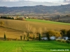 recanati_chiarino37