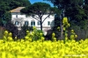 recanati_primavera002